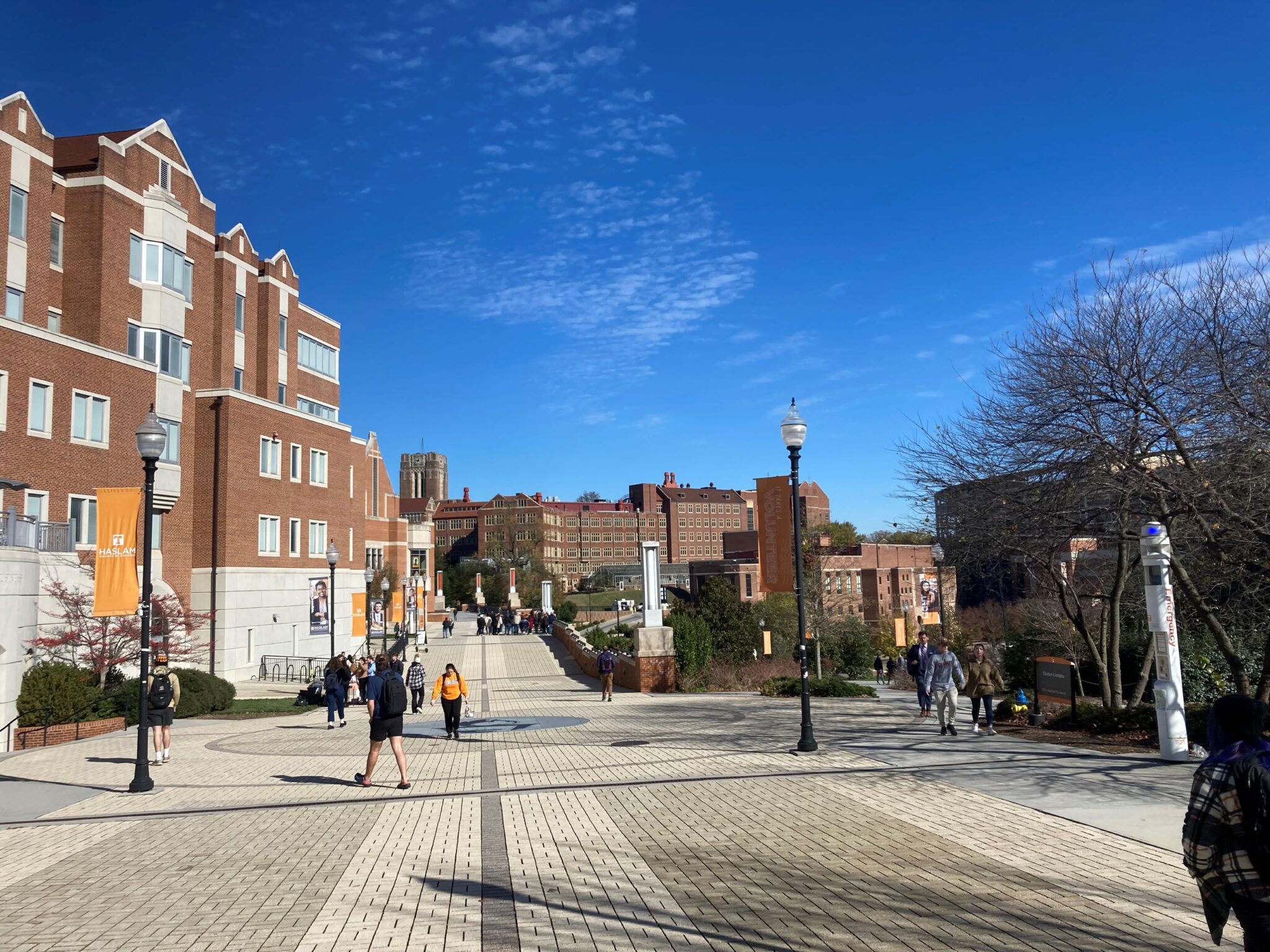 Inside Scoop: Ucla Sdn 2024 2025 Admissions Trends - qj6d98f